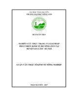 Nghiên cứu thực trạng và giải pháp phát triển kinh tế hộ nông dân tại huyện Gia Lâm  Hà Nội (Luận văn thạc sĩ)