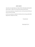 Nghiên cứu mức độ công bố thông tin kế toán của các doanh nghiệp hoạt động trong lĩnh vực bất động sản yết giá tại sở giao dịch chứng khoán hồ chí minh