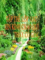 Bài giảng điện tử hai quy tắc đếm cơ bản ĐSGT lớp 11 nâng cao