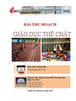 tieu luan giao duc the chat (1)