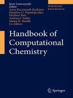 Handbook of computational chemistry 