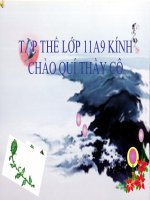 Bài giảng điện tử: Phép đối xứng trục  Hình học 11