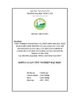 Thử nghiệm ảnh hưởng của phân bón NPK đầu trâu 202015 đến sinh trưởng của ba loại cây Cây mỡ (Manglietia glauca.BL); Cây Quế (Cinnamomum cassia.BL); Cây Keo Tai Tượng  trong vườn ươm tại trường đại học nông lâm Thái Nguyên (Khóa luận tốt nghiệp)