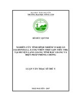 Nghiên cứu tình hình nhiễm vi khuẩn Salmonella, E.coli trên thịt lợn tiêu thụ tại huyện Lạng Giang tỉnh Bắc Giang và biện pháp phòng chống (Luận văn thạc sĩ)