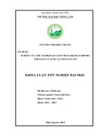 Nghiên cứu thử nghiệm Kit chuẩn đoán bệnh Gumboro trên đàn gà nuôi tại Thái Nguyên (Khóa luận tốt nghiệp)