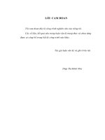 Nghiên cứu ảnh hưởng của cấu trúc sở hữu đến hiệu quả hoạt động của các công ty niêm yết trên thị trường chứng khoán việt nam