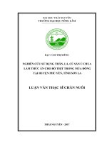 Nghiên cứu sử dụng thân, lá, củ sắn ủ chua làm thức ăn cho bò thịt trong mùa đông tại huyện Phù Yên, tỉnh Sơn La (Luận văn thạc sĩ)