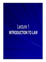 Lecture 1   introduction to business law