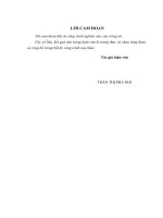 Nghiên cứu các nhân tố ảnh hưởng tới quyết định mua xe tay ga của người tiêu dùng tại thành phố đà nẵng