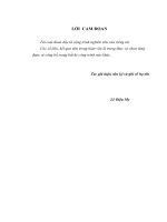 Nghiên cứu ảnh hưởng của các nhân tố văn hóa hàn quốc đến quyết định mua mỹ phẩm hàn quốc của người tiêu dùng nữ