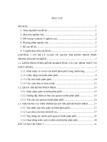 Quản trị kênh phân phối sản phẩm khóa của công ty cổ phần khóa việt tiệp tại khu vực miền trung