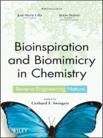 Bioinspiration and biomimicry in chemistry reverse engineering nature 