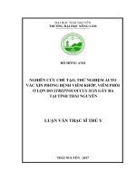Nghiên cứu chế tạo, thử nghiệm Auto vắc xin phòng bệnh viêm khớp, viêm phổi ở lợn do Streptococcus suis gây ra tại tỉnh Thái Nguyên (Luận văn thạc sĩ)