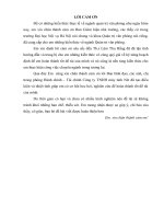 Khảo sát, đánh giá vai trò của nhà quản trị văn phòng trong công tác hoạch định nhân sự tại công ty TNHH máy tính nét