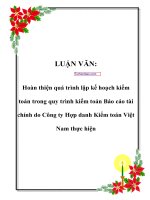 Hoàn thiện quá trình lập kế hoạch kiểm toán trong quy trình kiểm toán Báo cáo tài chính do Công ty Hợp danh Kiểm toán Việt Nam thực hiện