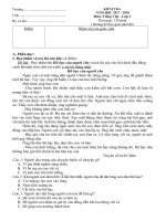 ĐỀ THI GIỮA KÌ 2 - TIẾNG VIỆT LỚP 3