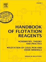 Handbook of flotation reagents chemistry theory and practice volume 2 flotation of gold PGM and oxide minerals