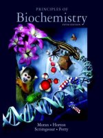 Principles of biochemistry 5th edition Part 1