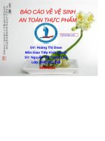 BÁO CÁO VỆ SINH AN TOÀN THỰC PHẨM