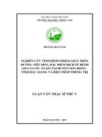 Nghiên cứu tình hình nhiễm giun tròn đường tiêu hóa, đặc điểm dịch tễ bệnh giun lươn ở lợn tại huyện Sơn Động  Tỉnh Bắc Giang và biện pháp phòng trị