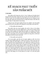 Bản kế hoạch phát triển sản phẩm FAMI không đường