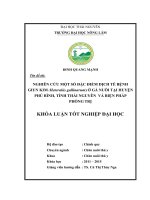 Nghiên cứu một số đặc điểm dịch tễ bệnh giun kim (Heterakis gallinarum) ở gà nuôi tại huyện Phú Bình, tỉnh Thái Nguyên và biện pháp phòng trị (Khóa luận tốt nghiệp)