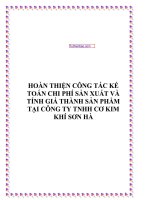Tuthienbao com PHI SAN XUAT VA TINH GIA THANH SAN PHAM TAI CONG TY TNHH CO KIM KHI SON HA 