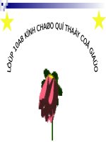 Bài giảng điện tử: Hệ điều hành máy tính  Tin học 10