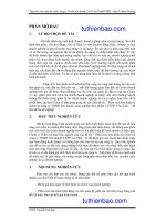 PHÂN TÍCH TÌNH HÌNH TÀI CHÍNH CÔNG TY TNHH