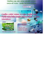 CHIẾN LƯỢC ĐỊNH VỊ SẢN PHẨM SỮA TƯƠI NGUYÊN CHẤT CỦA CÔNG TY SỮA VINAMILK