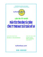 PHÂN TÍCH TÌNH HÌNH TÀI CHÍNH CÔNG TY TNHH MAY XUẤT KHẨU MỸ AN