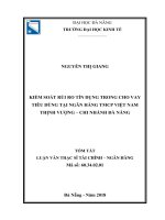 Kiểm soát rủi ro tín dụng trong cho vay tiêu dùng tại ngân hàng TMCP việt nam thịnh vượng   chi nhánh đà nẵng tt 