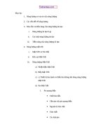 Tuthienbao com tieu luan nang luong tai tao 