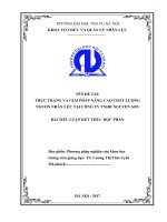 THỰC TRẠNG VÀ GIẢI PHÁP NÂNG CAO CHẤT LƯỢNG  NGUỒN NHÂN LỰC TẠI CÔNG TY TNHH NGUYỄN SƠN