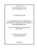 Các tội phạm về ma túy trên địa bàn tỉnh Nghệ An: Tình hình, nguyên nhân và giải pháp phòng ngừa (Luận án tiến sĩ)