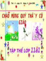 Bài giảng điện tử: Phép đối xứng trục  Hình học 11