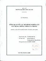 Tổng quan về các mô hình nghiên cứu tác dụng chống viêm của thuốc 