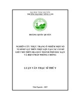 Nghiên cứu thực trạng ô nhiễm một số vi sinh vật trên thịt (Luận văn thạc sĩ)