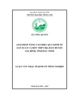 Giải pháp nâng cao hiệu quả kinh tế sản xuất cà rốt trên địa bàn huyện Gia Bình, tỉnh Bắc Ninh (Luận văn thạc sĩ)