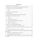 Tiểu luận về vấn đề sáng chế dược phẩm trong quyền sở hữu công nghiệp