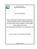 Hoàn thiện hoạt động kiểm soát rủi ro tín dụng trong cho vay hộ kinh doanh tại ngân hàng NNPTNT việt nam   chi nhánh huyện krông ANA, tỉnh đăk lắk