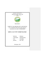 Nghiên cứu đặc điểm phân bố và sinh trưởng của cây Bương lông (Dendrocalamus giganteus) tại huyện Tuần Giáo  tỉnh Điện Biên (Khóa luận tốt nghiệp)