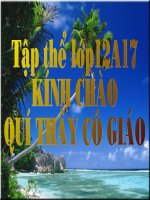 Bài giảng điện tử: Phép chia số phức  Giải tích 12