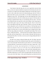 thực trạng và một số giải pháp nhằm thu hút thị trường khách nội địa đến với khách sạn thanh long
