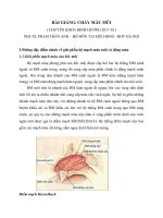 bài giảng tai mũi họng :Chay mau mui   PGS tran anh