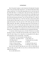 TL tai chinh (lam phat ở việt nam hiện nay thực trạng và giải pháp)