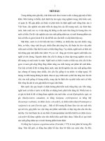 Nghiên cứu một số đặc điểm sinh học sinh sản của cá Hồng Bạc (Lutjanus argentimaculatus Forskal, 1775) và ảnh hưởng của thức ăn đến sinh trưởng, tỷ lệ sống ở giai đoạn cá bột, tại Nha Trang – Khánh Hòa (Luận án tiến sĩ)