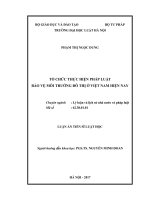 Tổ chức thực hiện pháp luật bảo vệ môi trường đô thị ở việt nam hiện nay 