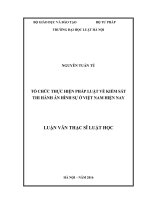 Tổ chức thực hiện pháp luật về kiểm sát thi hành án hình sự ở việt nam hiện nay 
