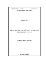 Thủ tục gia nhập thị trường của doanh nghiệp theo pháp luật việt nam 